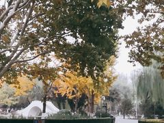 -康庄公园
