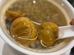 西米栗子（冰）-民信老铺(双皮奶博物馆店)