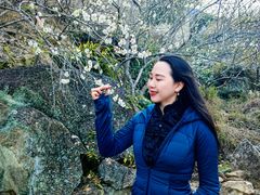 -广州市流溪河国家森林公园