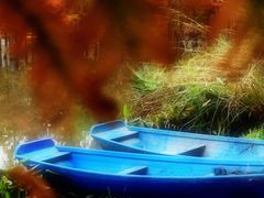 -白鹭湾湿地公园