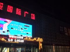 -莲花国际广场