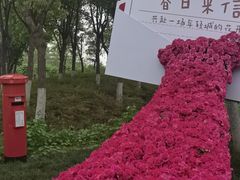 -春花秋色城市公园