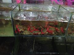 android_upload_pic-岛中岛·海鲜大排档·万宁老字号(东澳店)