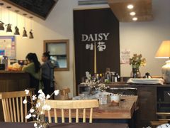 -Daisy雏菊