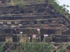 -东台西溪天仙缘景区