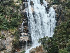 -海南热带雨林国家公园吊罗山景区