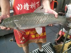 -山城家常菜铁锅炖鱼