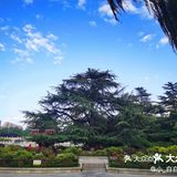 📍兴庆宫｜不用修图的大片