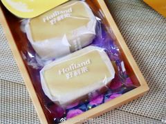 -大麦嘉动物奶油生日蛋糕(军分区新建北路店)