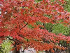 -白马涧龙池景区