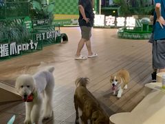 -CowCow其其·牛杂咖啡公司(六运店)