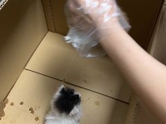 -宠颐生中康贝怡动物医院