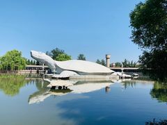 -东方巨龟苑景区