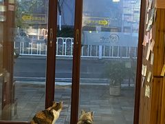 -隅cafe(傅厚岗店)