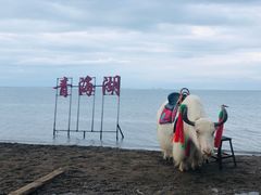 -青海湖国家重点风景名胜区