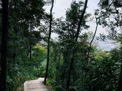 -火炉山森林公园
