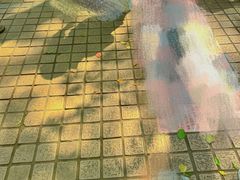 -人民公园-相亲角