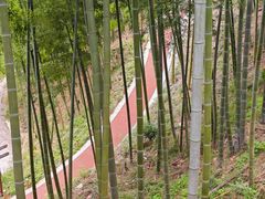 -莫干山风景区
