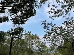 -良渚古城遗址公园