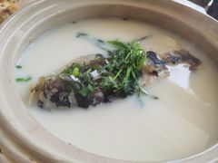 -天乐农家鱼头王(天目湖店)