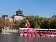 -莲花池公园
