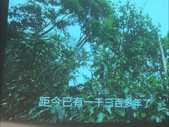 -云昕水语(嘉禾金铂旗舰店)