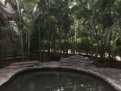 -龙达温泉生态城