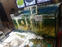 水产区-九层海鲜塔(市南店)