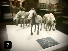 -邯郸市博物馆(新馆)