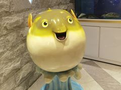 -鲐赏河豚(长寿店)