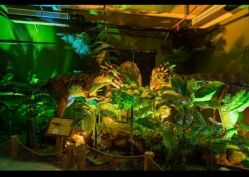 -恐龙探索乐园(磁器口店)