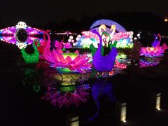-映月湖公园
