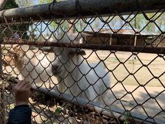 -祥源·阜阳生态乐园