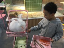 -Moni星球萌宠·小马宝莉·灵蛇·高端高阶全萌宠互动体验俱乐部(红豆国际广场店)