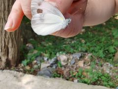 -大连金龙寺国家森林公园-售票处