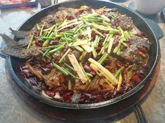 老板恋上鱼-老板恋上鱼(恒隆广场店)