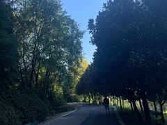 -茶百道(会展东路店)