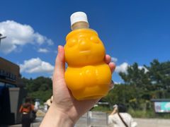 -柱状节理带