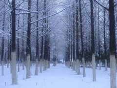 -河海大学(江宁校区)