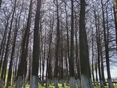 -苏州太湖湖滨国家湿地公园