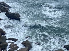 -广东惠东海龟国家级自然保护区