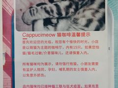 -Cappucimeow猫咪咖啡馆(韦伯时代店)