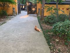 -灵谷景区
