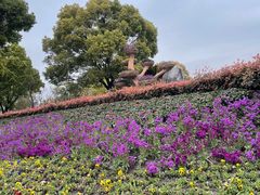 -七宝老街-闵行市民文化广场