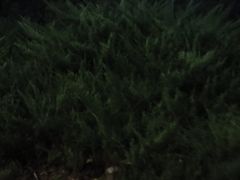 -博羿箭游 Archery Tag 攻防箭(奥森场店)