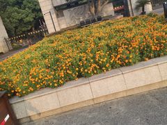 -浙江大学(玉泉校区)