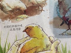 -麦当劳(北亭广场分店)