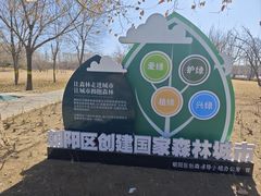 -大望京公园