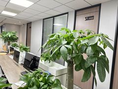 -嘉盛律师团队·法律咨询(上海广场店)