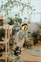 -花开映像儿童摄影
